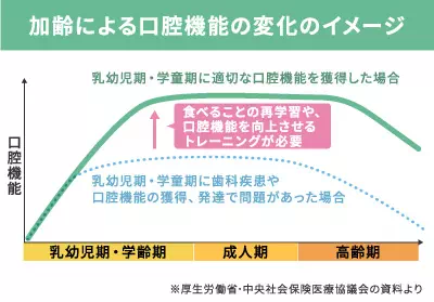 加齢による口腔機能の変化のイメージ