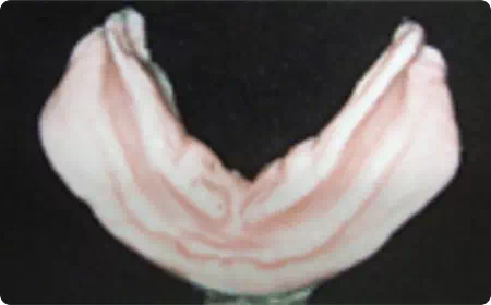 型どりの画像