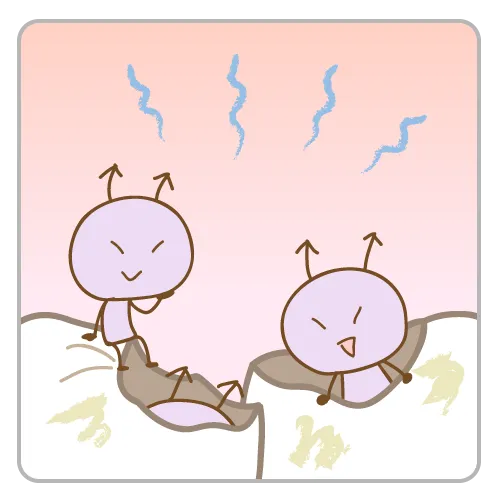 むし歯になる原因の画像④