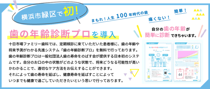 歯の年齢診断の画像