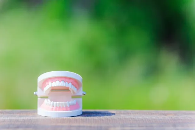 十日市場ファミリー歯科入れ歯の慣れ