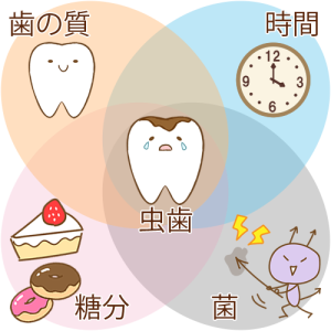 虫歯の成り立ち