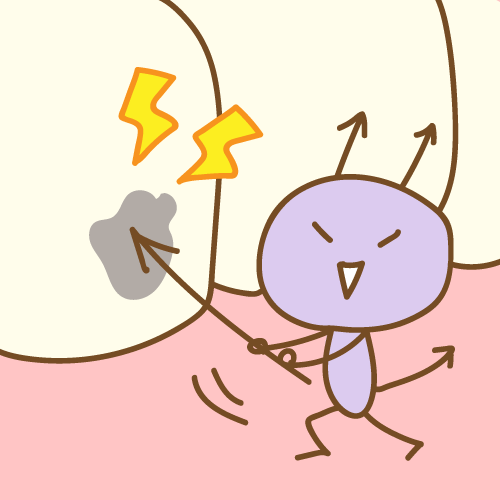ブログの画像