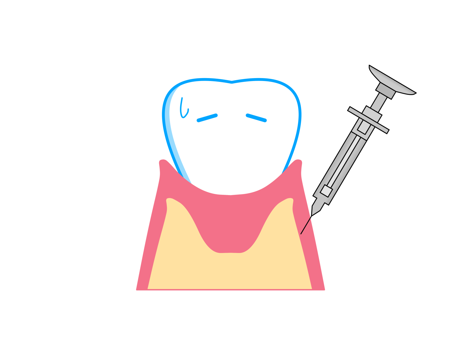 ブログの画像