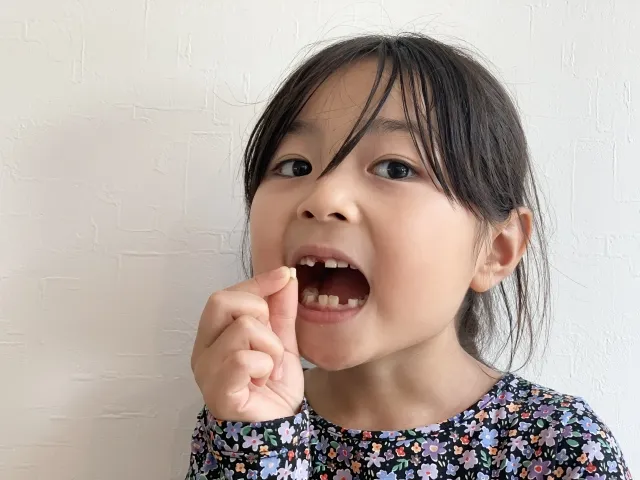 ブログの画像