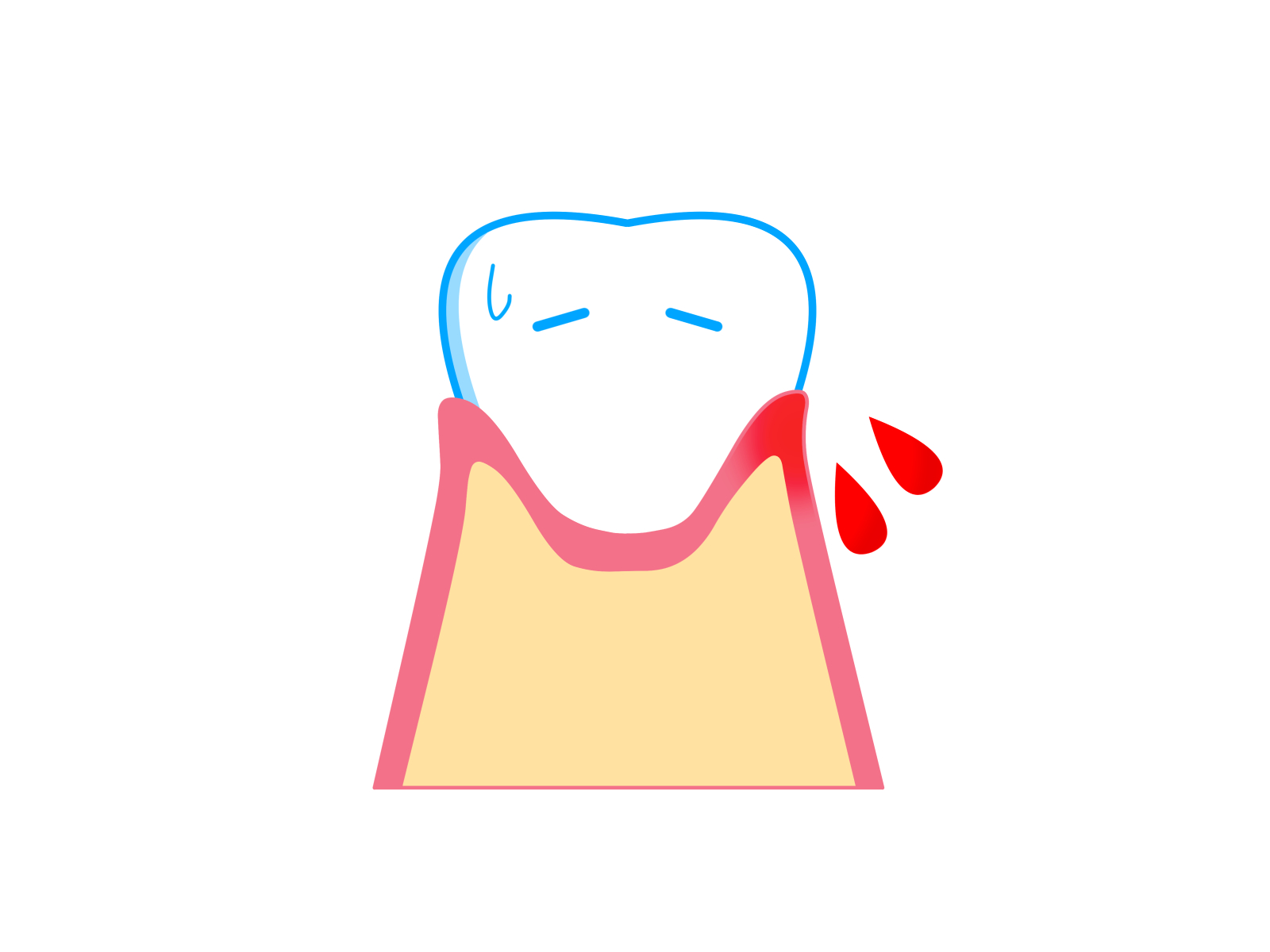 ブログの画像