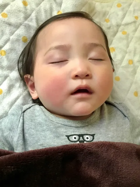 ブログの画像