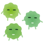 ブログの画像